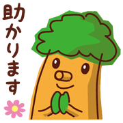 019