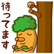 036