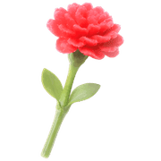 028