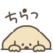 037
