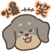 020