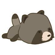 003