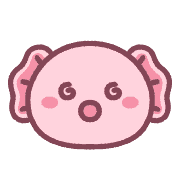 021
