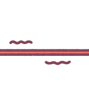 029