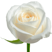 019
