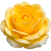 026