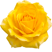 027