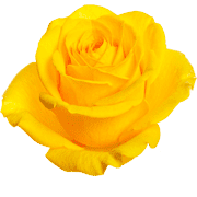 028