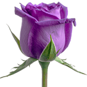 033