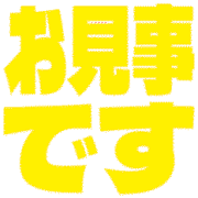 276