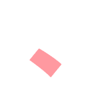 256