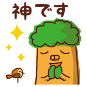 008