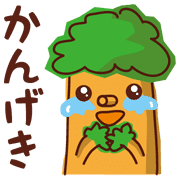 016