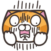 013
