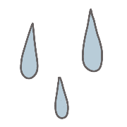 029