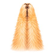 011