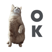 005