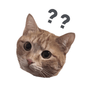 006