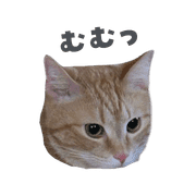 007
