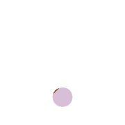 246