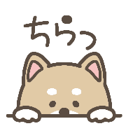 037