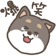 010
