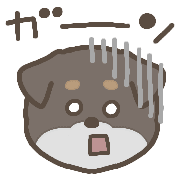 019
