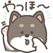 020