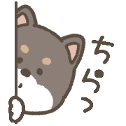 037