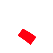 256