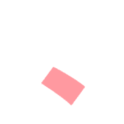 256