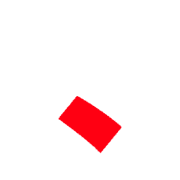 256