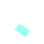 256