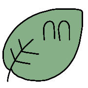 036