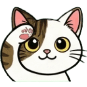 008