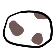 029