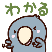 017