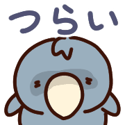 029