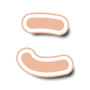 010