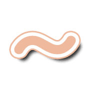 224