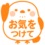 031