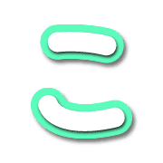 010