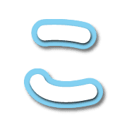 010