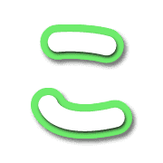 010