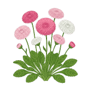 004