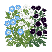 010