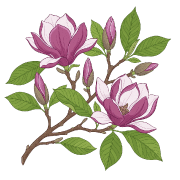 019