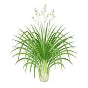 036