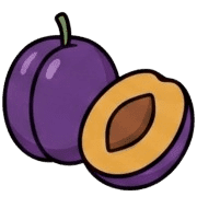 031