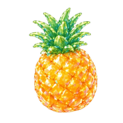 004